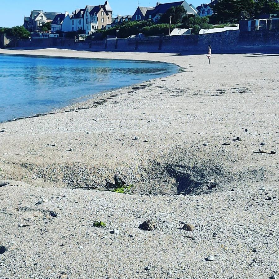 Le 3 Appartement Vue Mer Avec Jardin 100M De La Plage Et De La Thalasso Concarneau Exterior foto